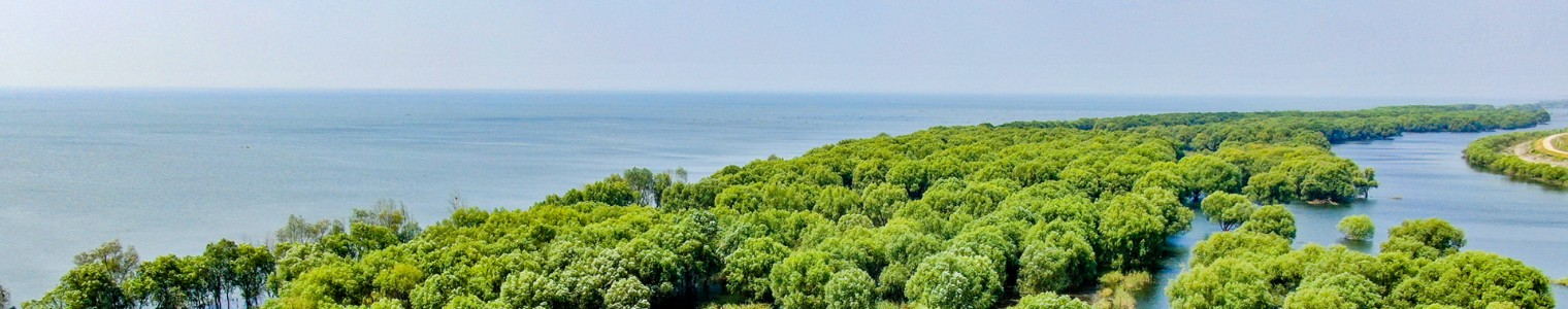 0033990����˹(�й�)���޹�˾ -Best Of Best