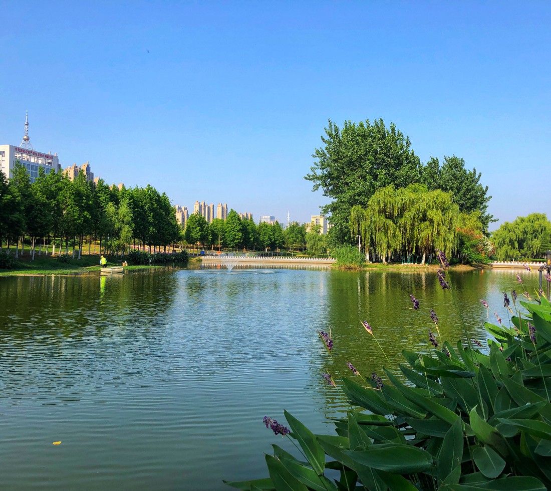 0033990����˹(�й�)���޹�˾ -Best Of Best