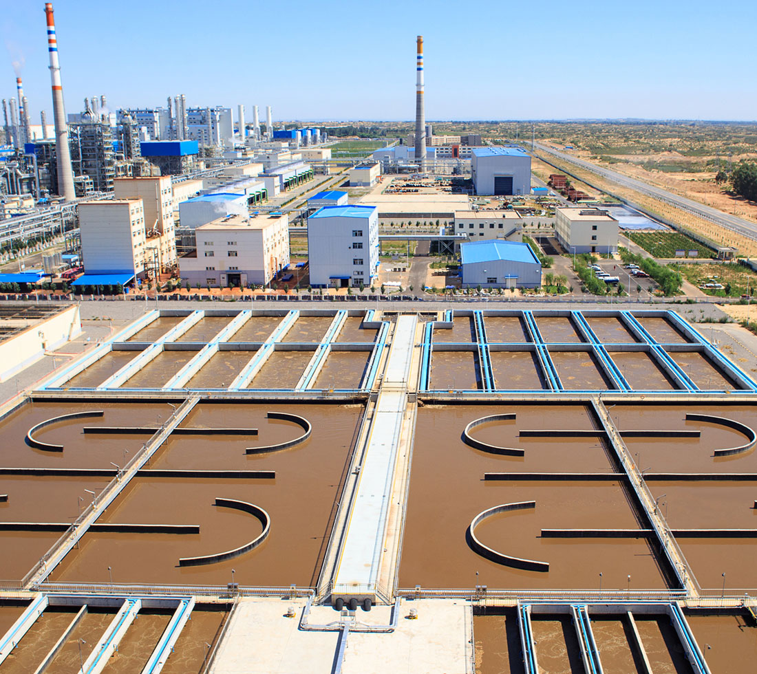 0033990����˹(�й�)���޹�˾ -Best Of Best