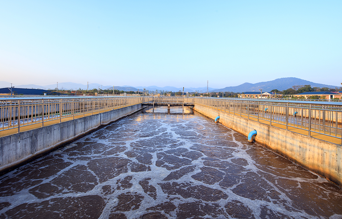 0033990����˹(�й�)���޹�˾ -Best Of Best